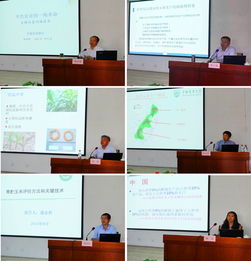 技術(shù)推廣服務中心 推動技術(shù)創(chuàng)新與產(chǎn)業(yè)升級的重要平臺