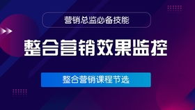 營(yíng)銷總監(jiān)必備 常見推廣渠道的深度優(yōu)化策略與技術(shù)賦能